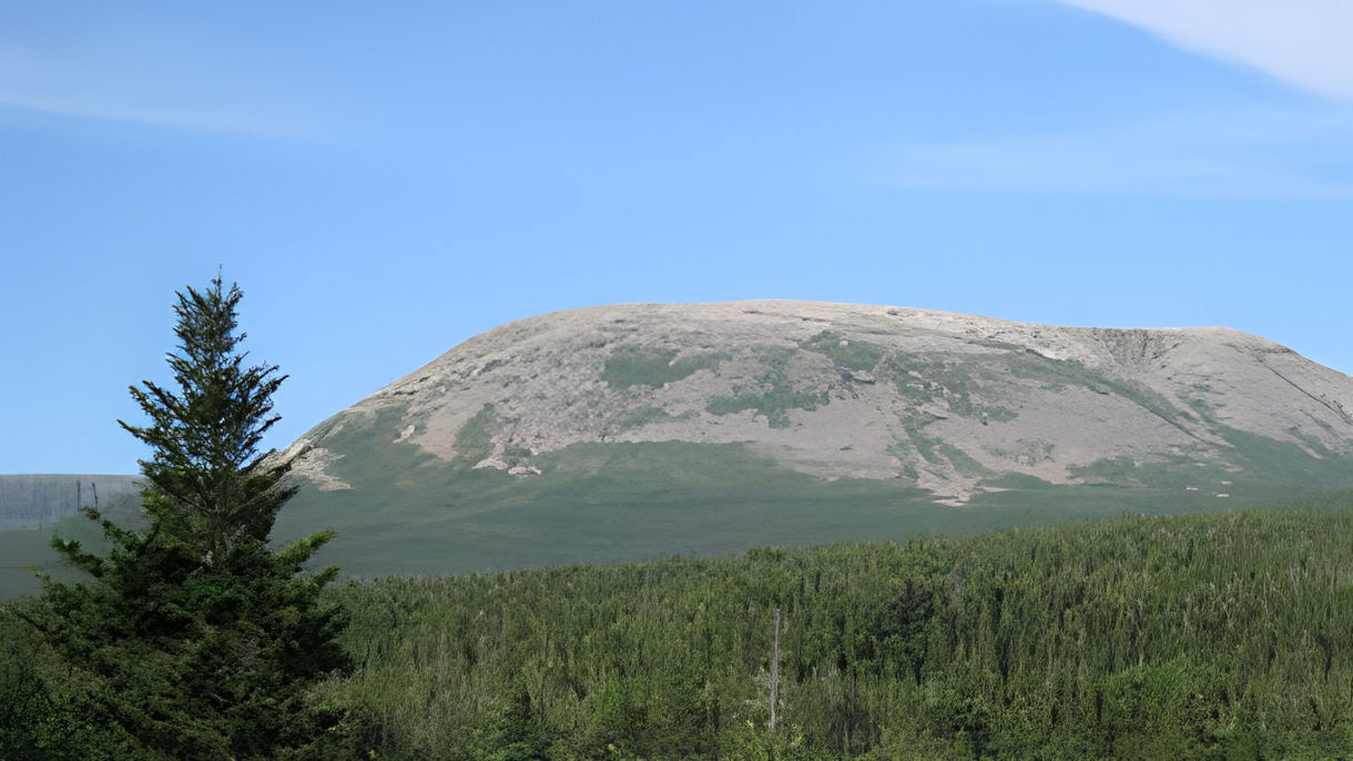 Best of Corner Brook: Gros Morne National Park & Light Lunch