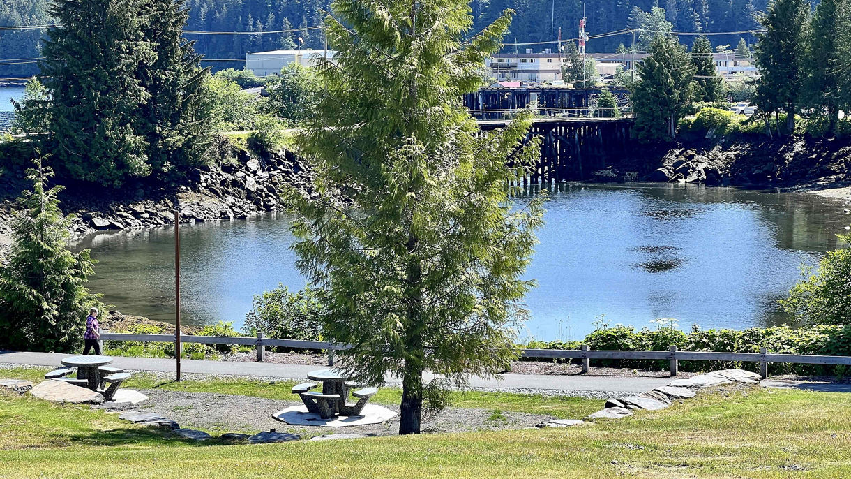 Highlights by Vintage Trolley & Scenic Seal Cove Picnic