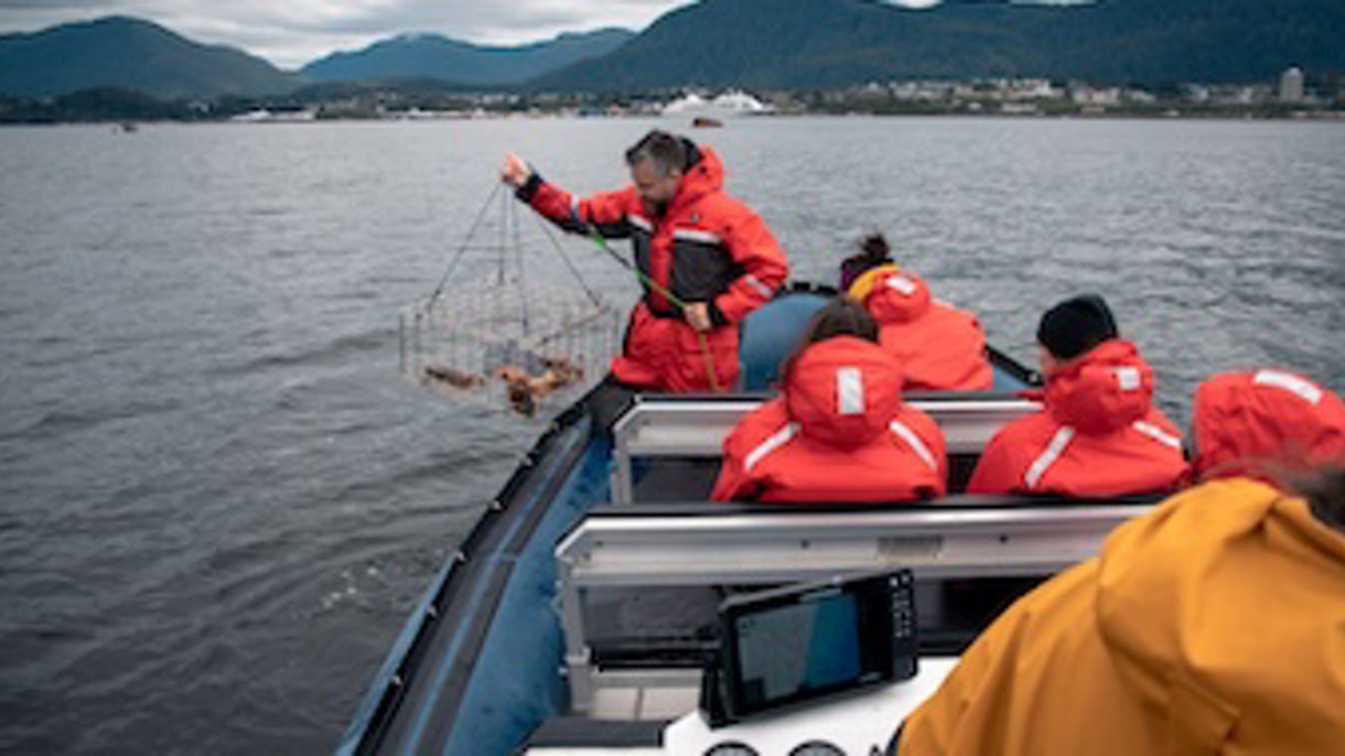 Northern Great Bear Rainforest by Zodiac