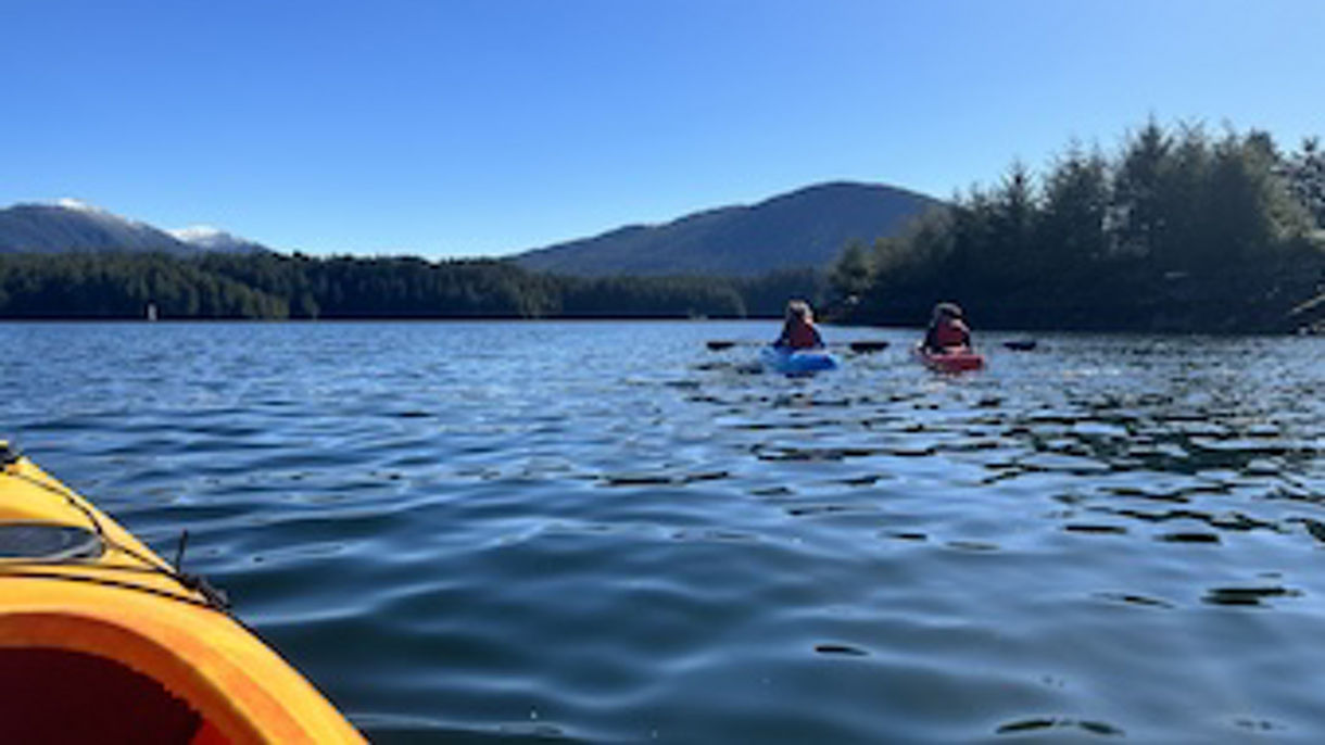 Wilderness Waterfront Kayaking & Rainforest Walk