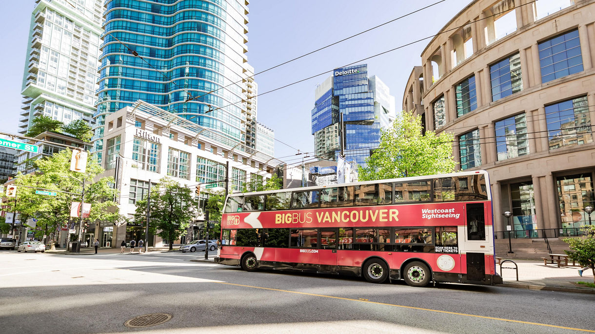 Hop-On, Hop-Off Sightseeing On Your Own w/ Airport Transfer