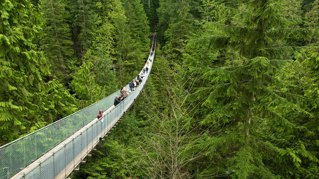 Northwest Exploration & Suspension Bridge Tour