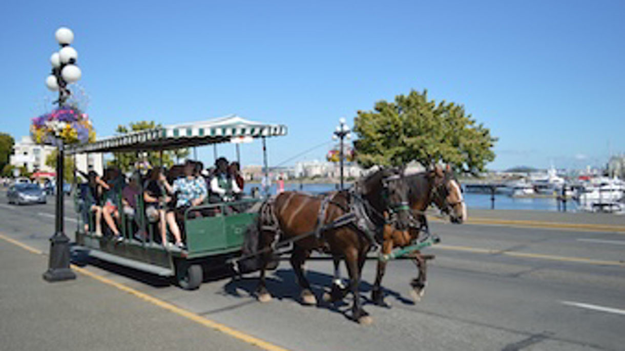 Victoria by Horse-Drawn Trolley