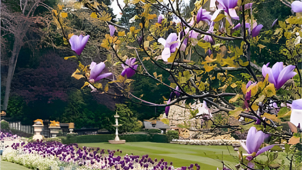 English Tea at Butchart Gardens