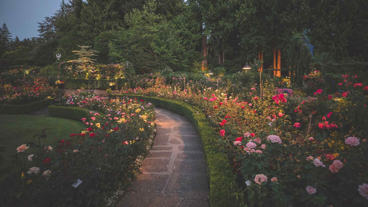 Butchart Gardens Express (Wheelchair Accessible)