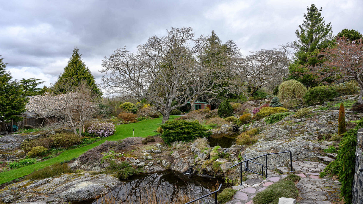 Local Connections: Royal Tea at Abkhazi Garden & City Highlights Created by Historian