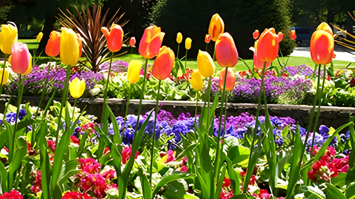 A Guided Walk into Victoria