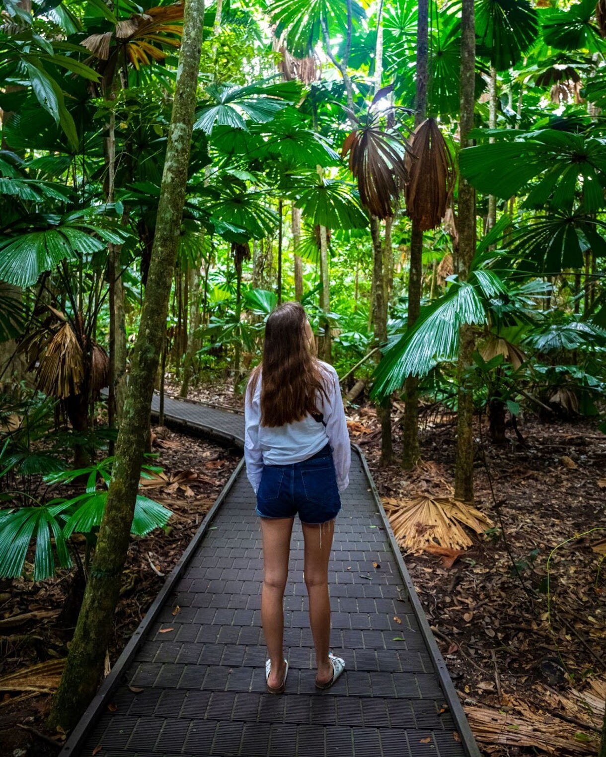 A person with long hair walks along a raised boardwalk surrounded by dense tropical rainforest filled with tall trees and large green fan-shaped palm leaves.