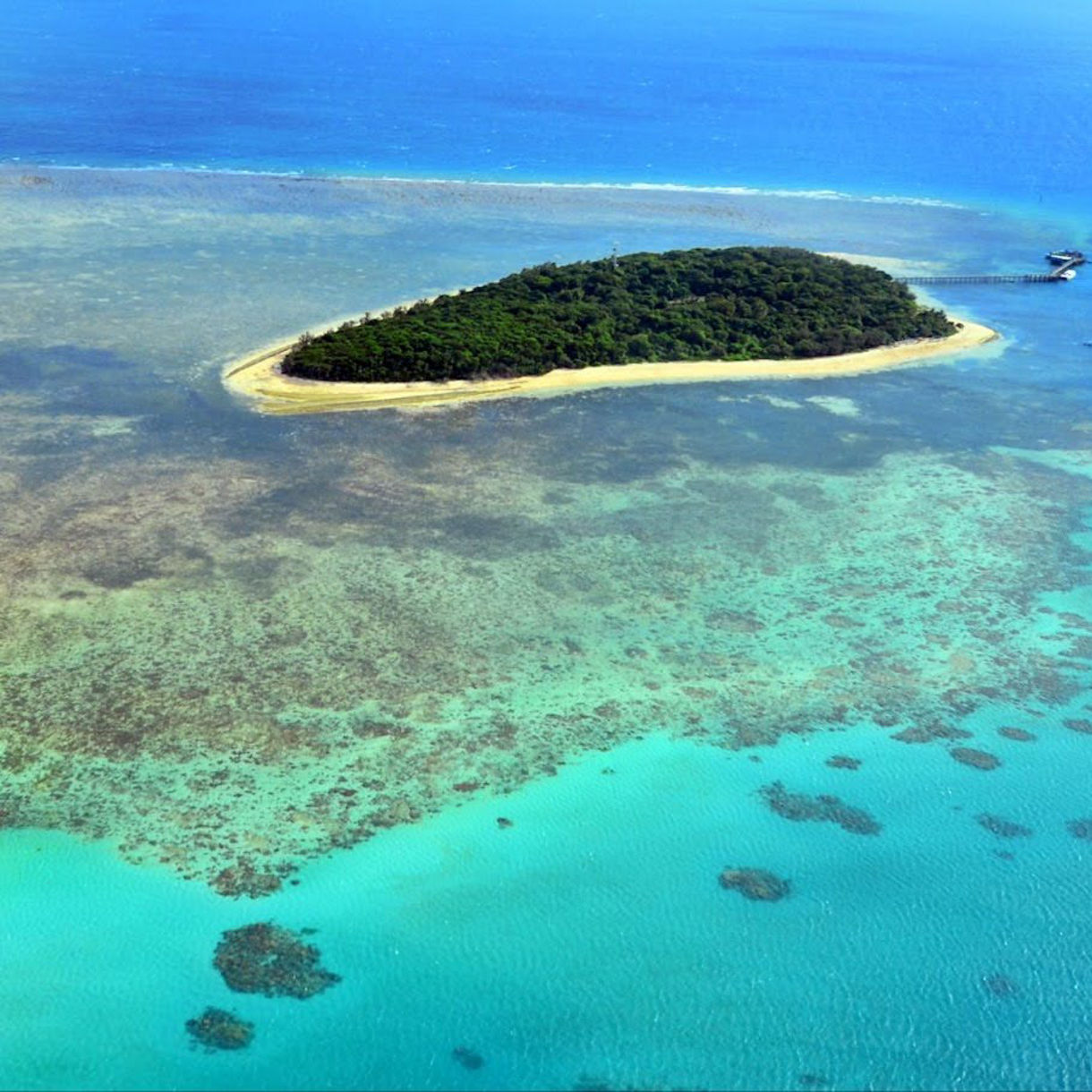 A small, lush green island surrounded by golden sand and shallow turquoise water, with coral reefs visible beneath the surface and deeper blue ocean beyond.