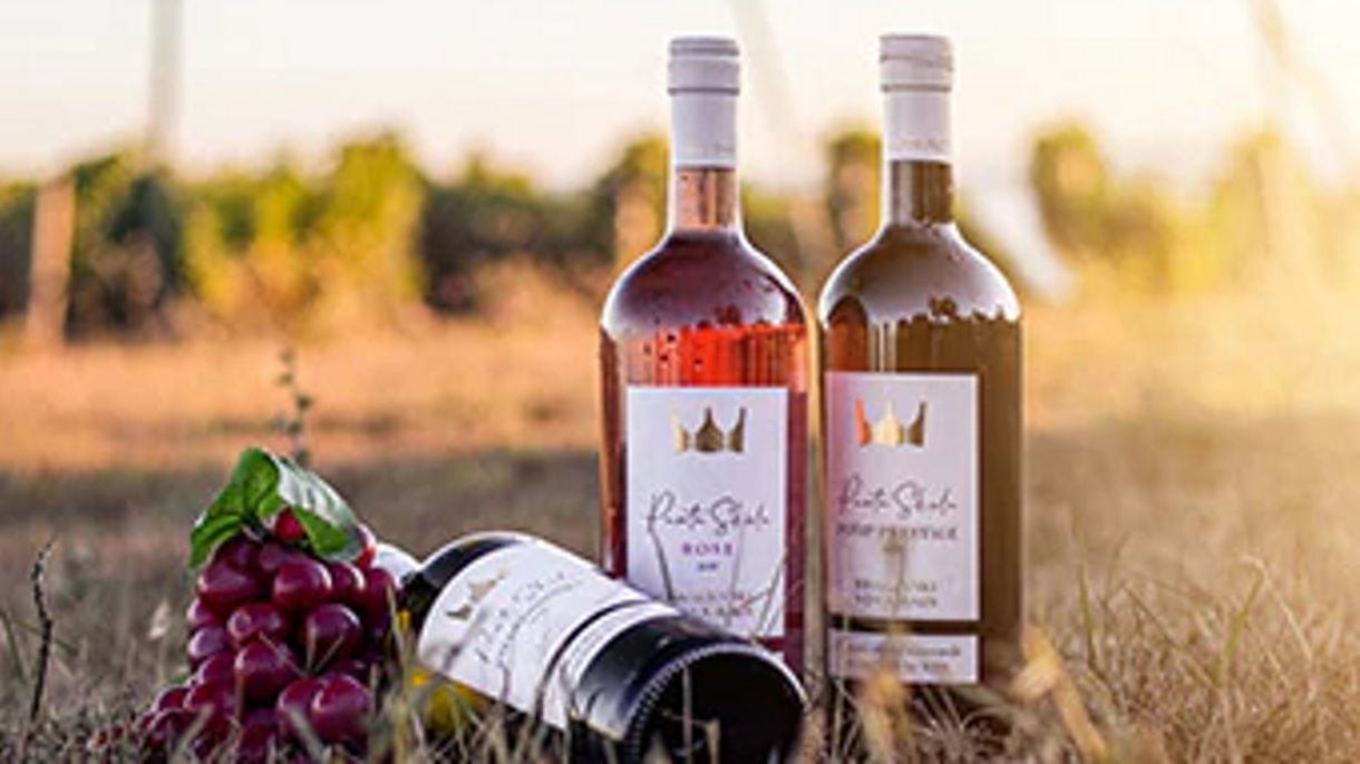 ZADAR WINE TASTING