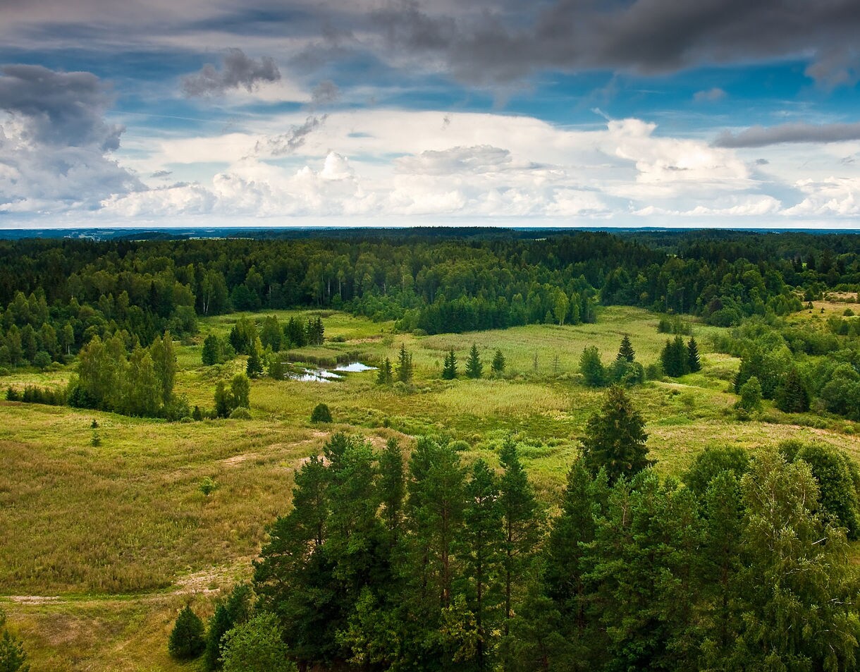 Aerial view of Žemaitija National Park with dense green forests, rolling meadows and small ponds under a cloudy blue sky.