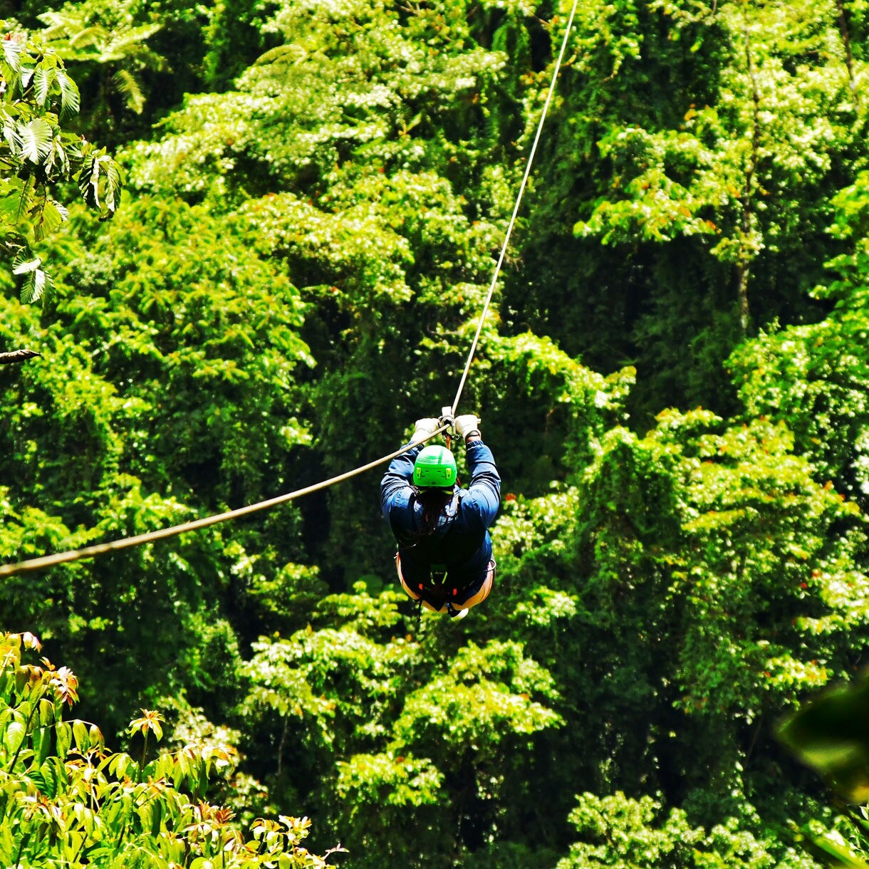 A person wearing a green helmet and harness gliding along a zip-line through dense tropical rainforest.