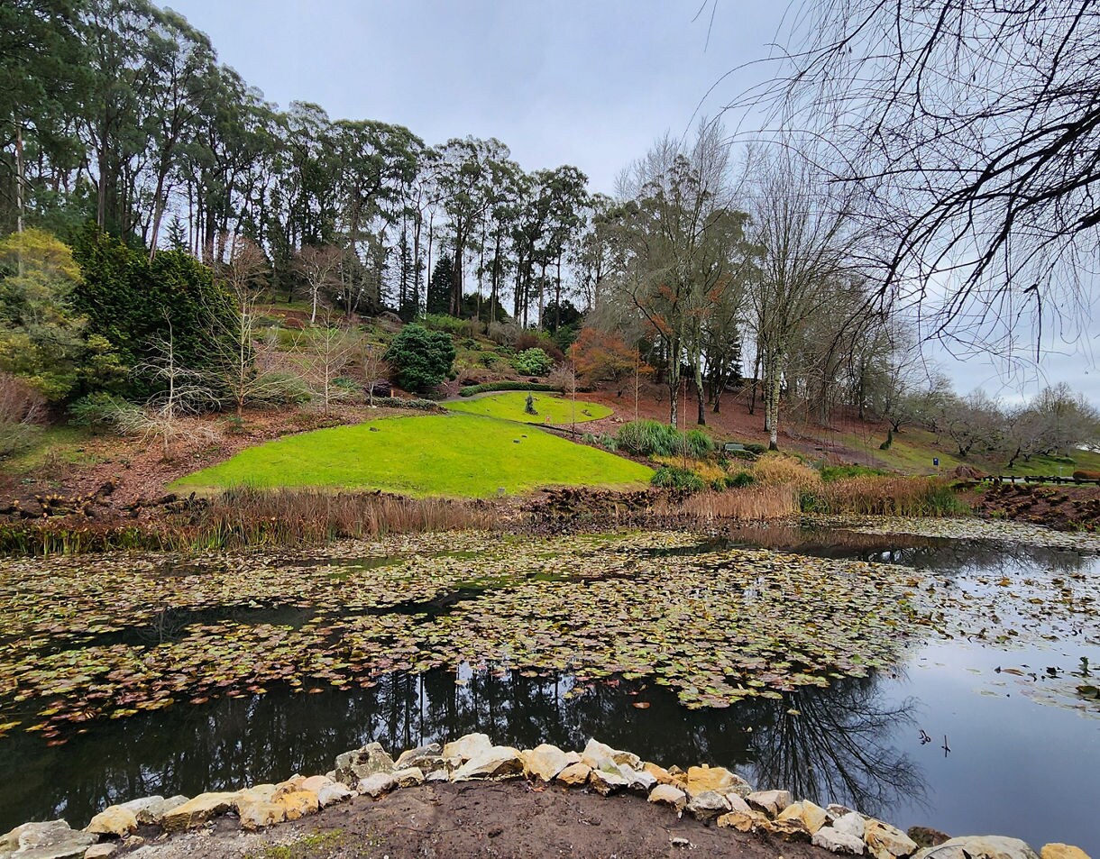 A quiet garden hillside with tall trees, patches of bright green grass, and a pond covered in lily pads under an overcast sky.
