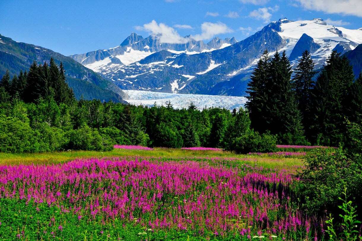 17 of the Most Beautiful Places in Alaska - Princess Cruises, image size:1220x814
