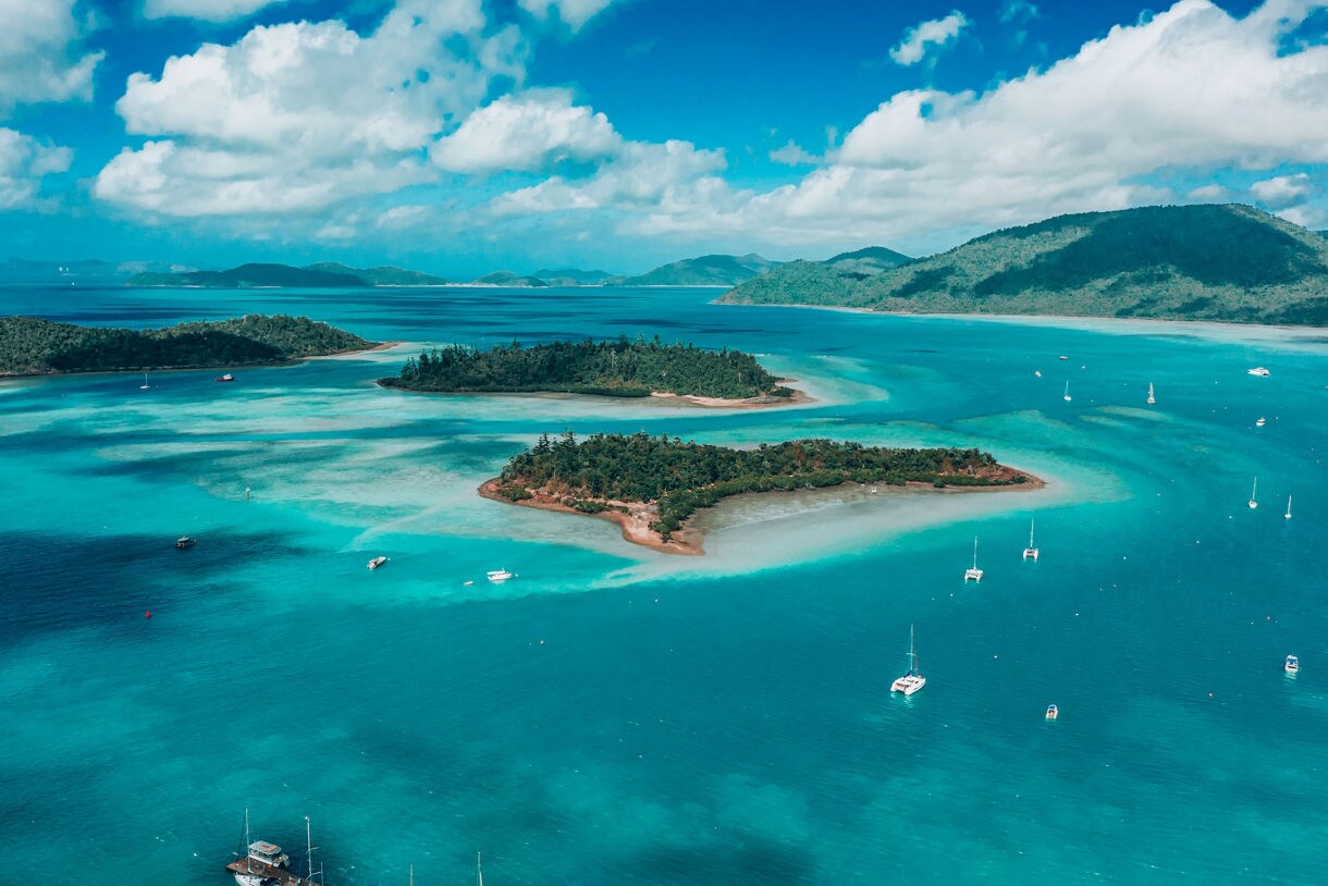 Airlie Beach Lagoon surrounded by palm trees, green lawns and hillside resorts under a clear blue sky.