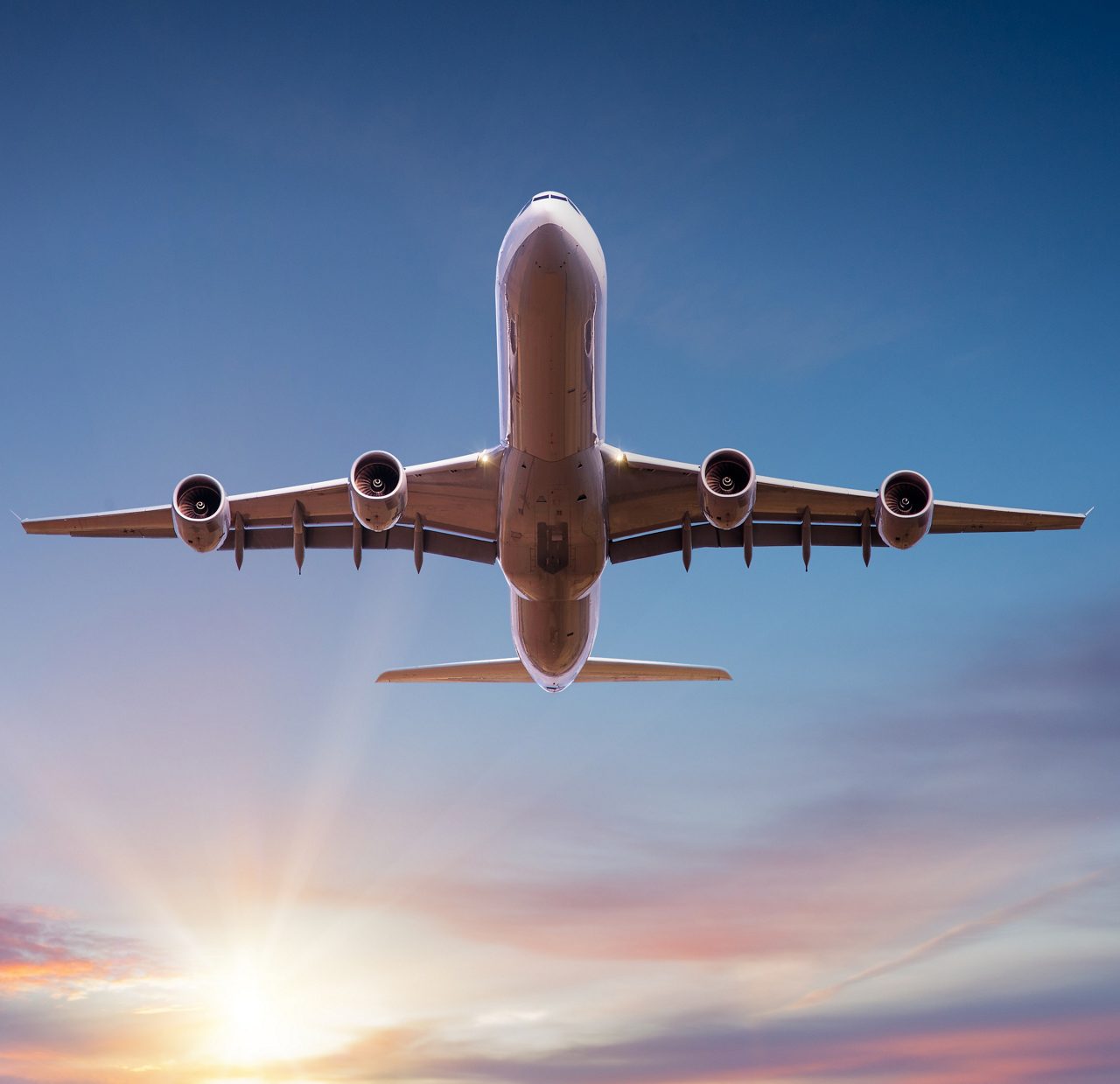 Fly cruises