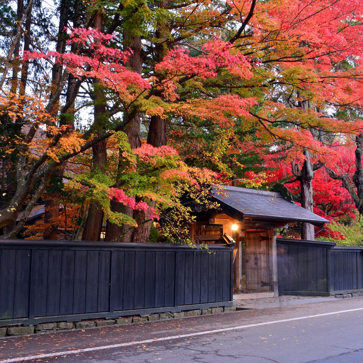 Traditional black wooden samurai gate in Kakunodate, surrounded by vibrant red and orange autumn foliage.