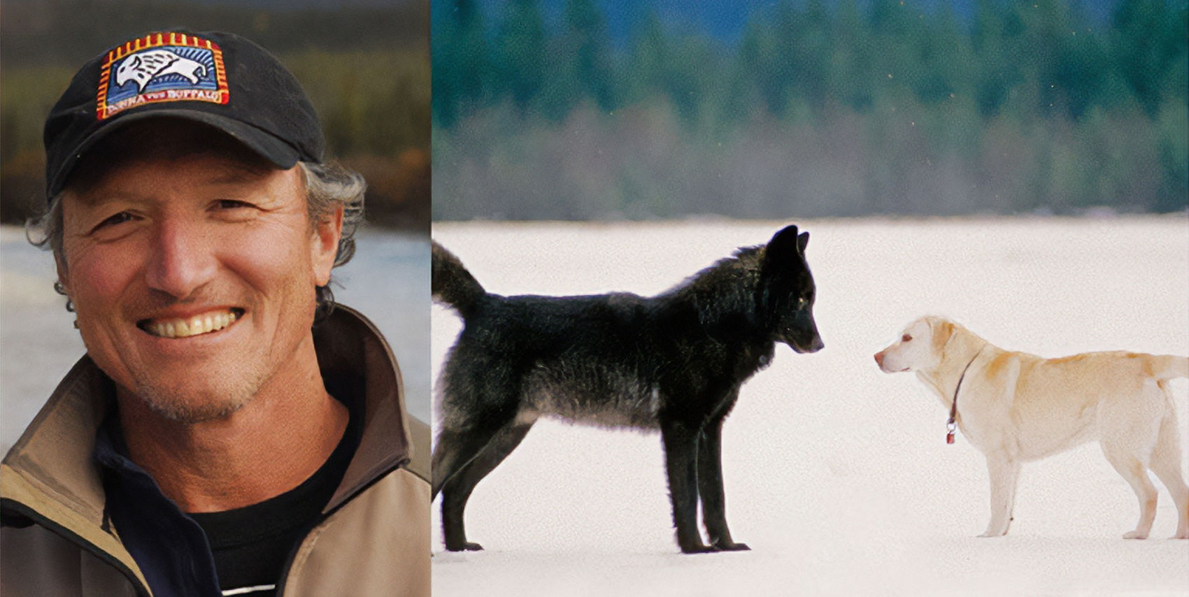 Alaska Activities local Alaskans Nick Jans headshot dogs wilderness snow