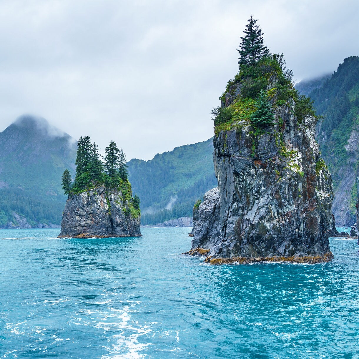 Rocky sea stacks with evergreen trees jut from blue water along Alaska’s forested coastline under a misty sky.