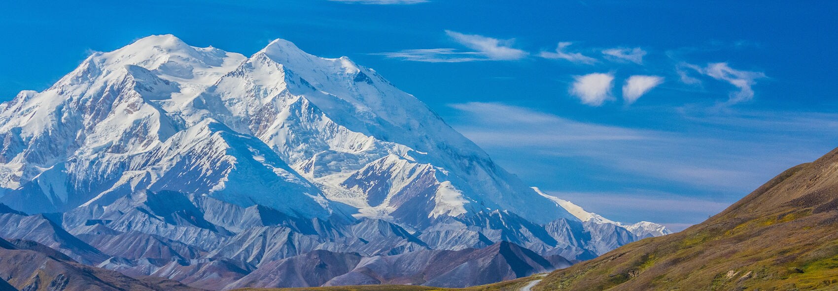 Alaska Cruise Denali National Park Princess Cruises