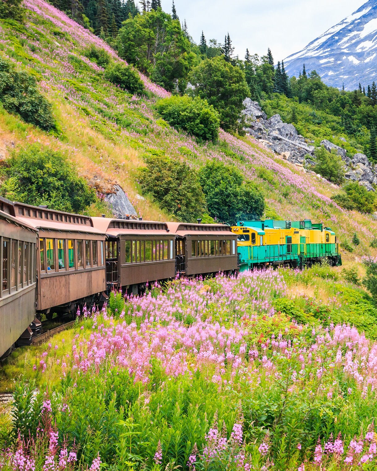 Alaska train