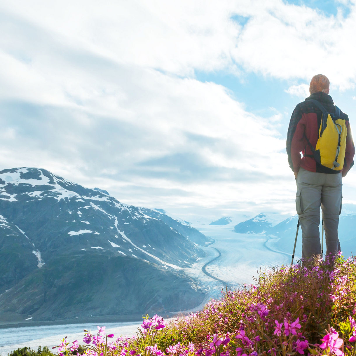 Hiker standing on a hilltop covered in purple wildflowers overlooking a glacier and snow-capped mountain range in Alaska.