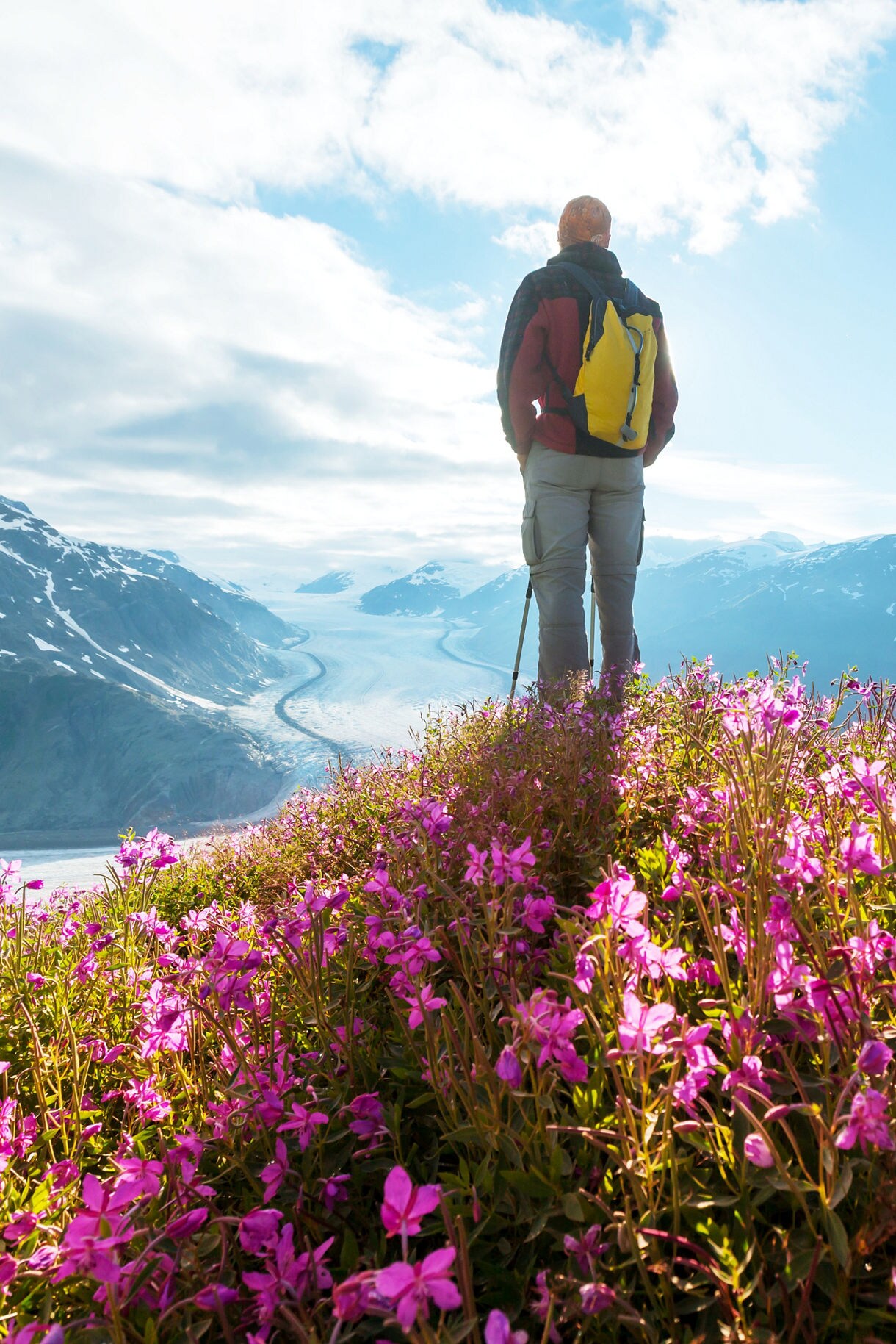 Hiker standing on a hilltop covered in purple wildflowers overlooking a glacier and snow-capped mountain range in Alaska.
