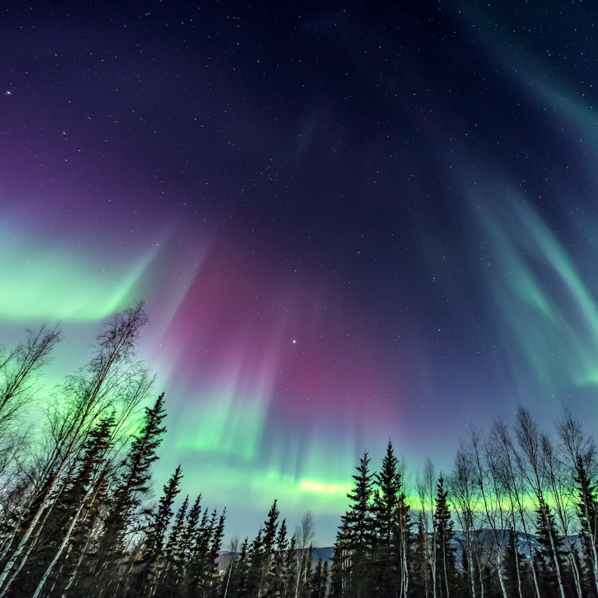 View of the aurora borealis from Fairbanks, Alaska.