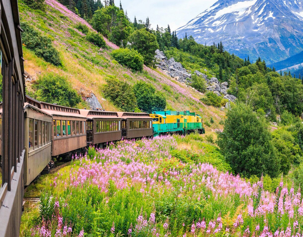 7-day Alaska Voyage of the Glaciers