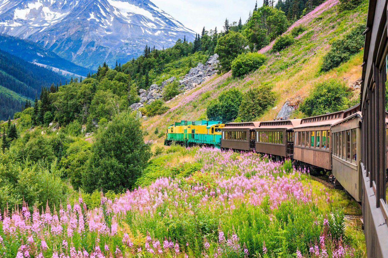 クラウン・プリンセス-クルーズ船情報-プリンセス・クルーズ