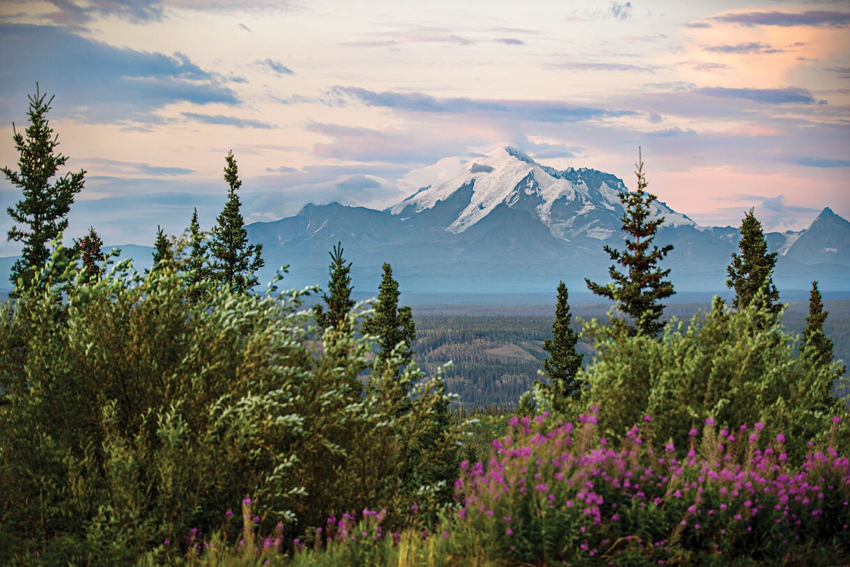20-Day Ultimate Alaska Solstice (with Glacier Bay National Park)