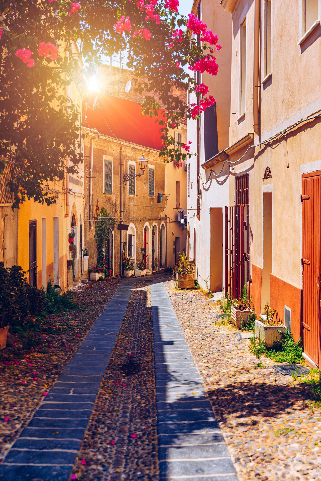 Narrow cobblestone street lined with pastel buildings and bright pink bougainvillea in warm sunlight.