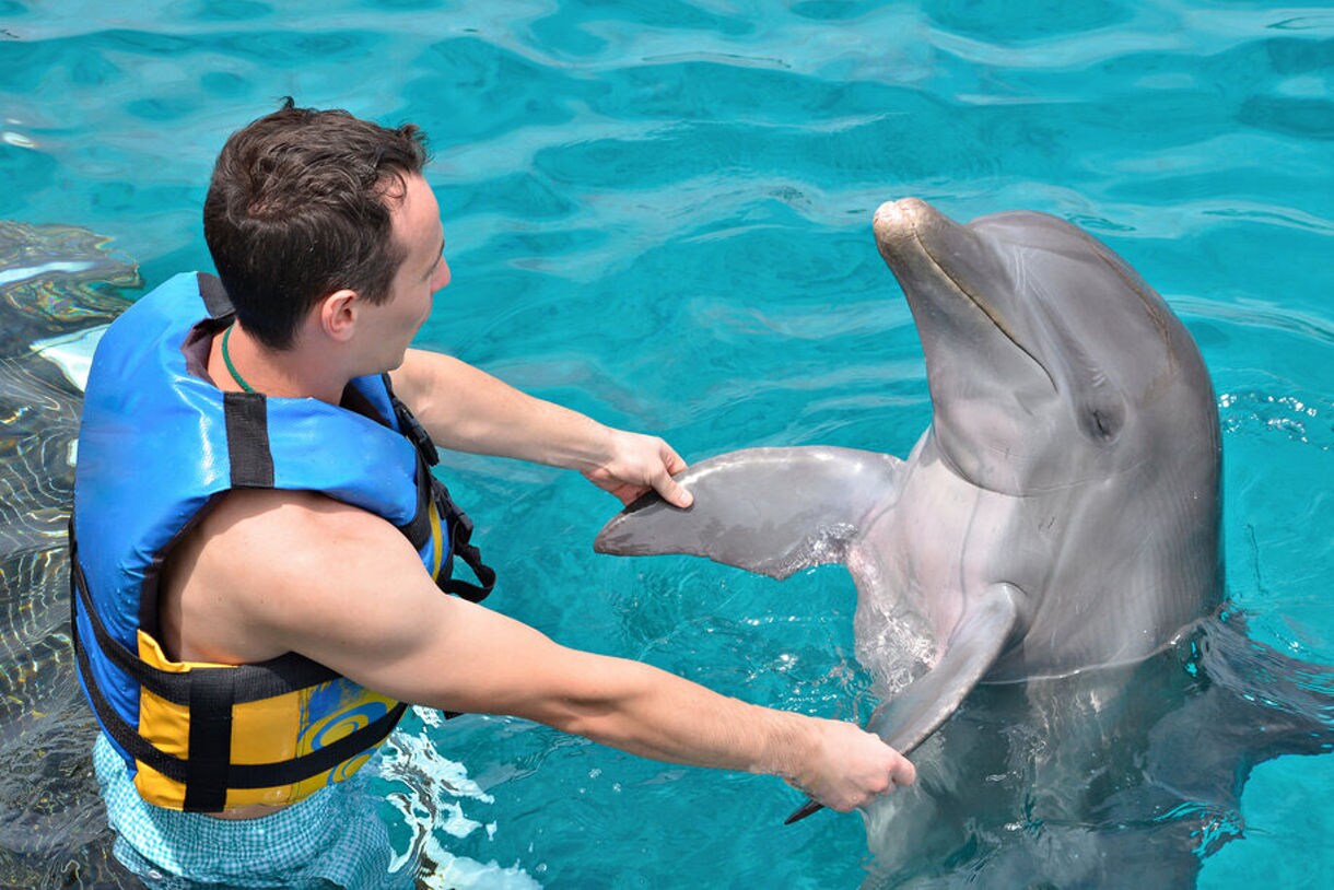 Man wearing a life vest holding flippers of a dolphin while standing in clear turquoise water during an interactive swim