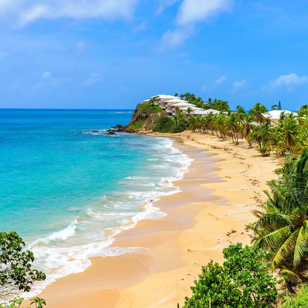 Secluded beach in Antigua with golden sand, clear blue water and palm trees stretching along the shoreline beneath a bright blue sky.
