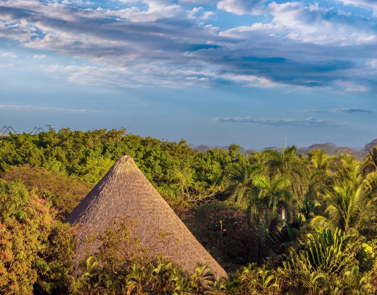 Thatched palapa roof surrounded by dense tropical foliage and palm trees under a blue sky with soft clouds near Puerto Quetzal, Guatemala.