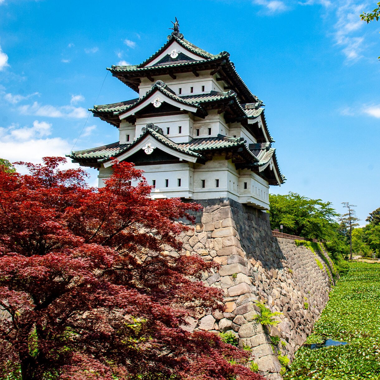 Traditional Japanese castle with green roofs atop stone walls, flanked by red and green trees.
