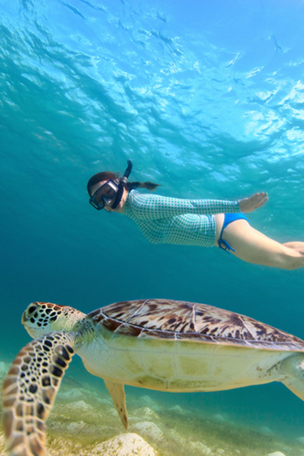 A snorkeler in a blue rash guard and fins glides through clear turquoise water, swimming next to a sea turtle with a patterned shell near the ocean floor.