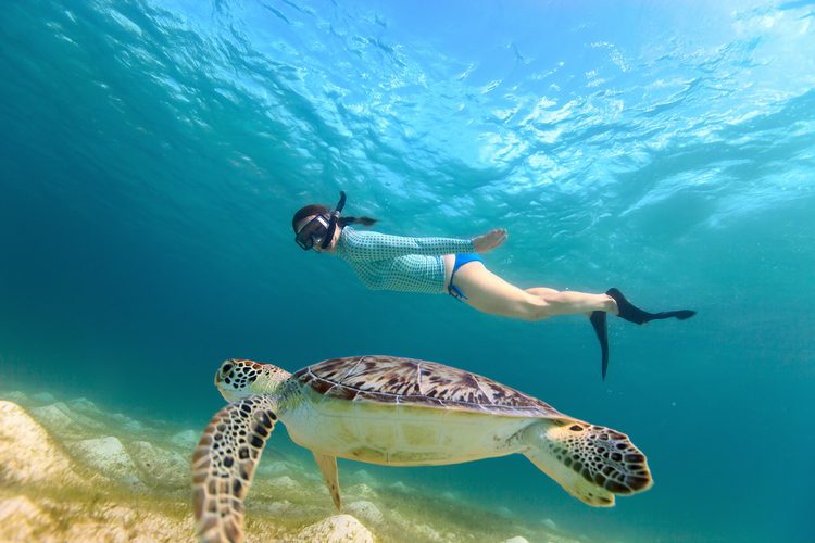A woman on the ocean sea bed, wearing an underwater helmet, looking at fish. 