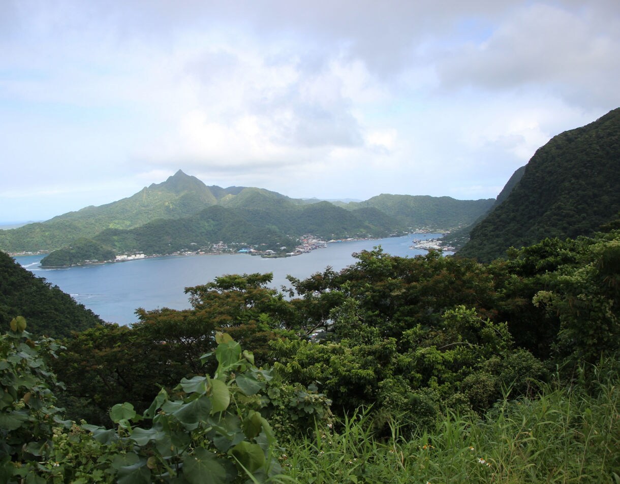 Elevated view of a lush green island landscape with steep mountains surrounding a wide, blue bay and small coastal settlements along the water.