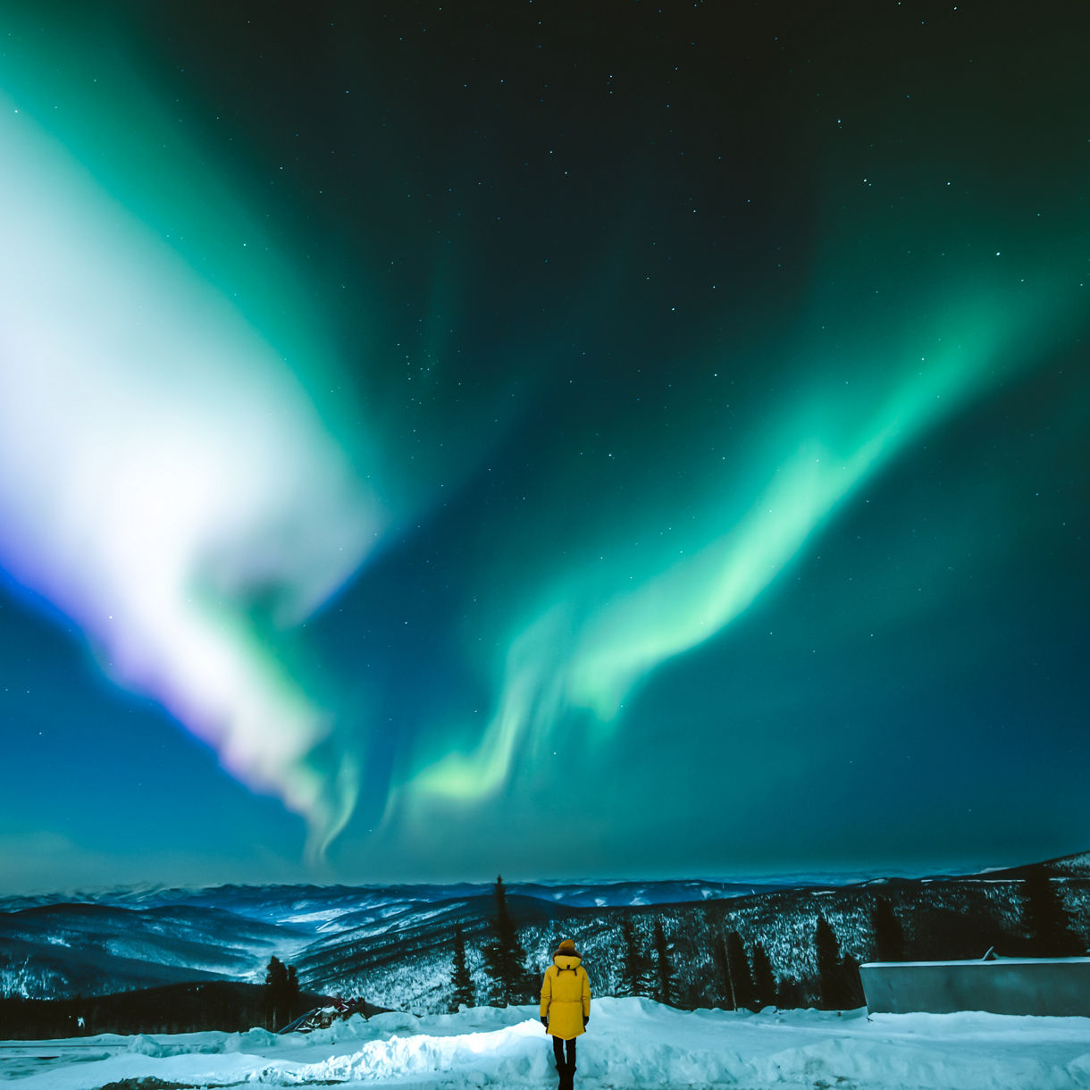 A lone person in a yellow jacket stands on snowy ground, gazing at a vivid aurora borealis in the night sky. Green and blue light trails sweep dramatically across the horizon above distant mountains and forests. The scene feels remote and tranquil, emphasizing the scale of the sky compared to the small human figure. Stars are faintly visible, adding to the sense of wonder and wilderness.