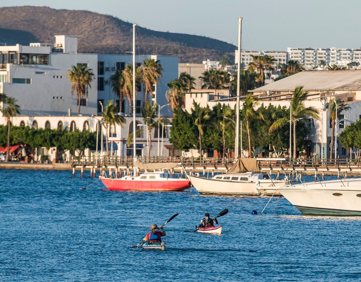 Two kayakers paddling near yachts and colorful boats with a backdrop of palm trees, white buildings and Baja’s coastal hills.