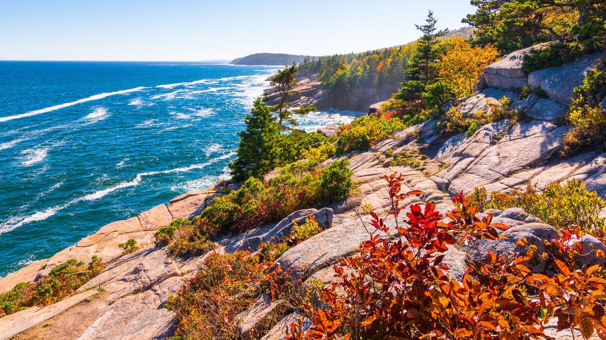 colorful fall foliage on oceanside bluffs