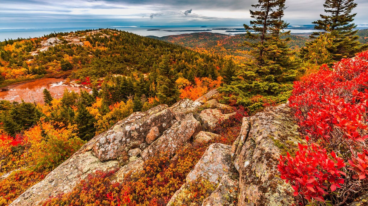 princess cruise bar harbor excursions