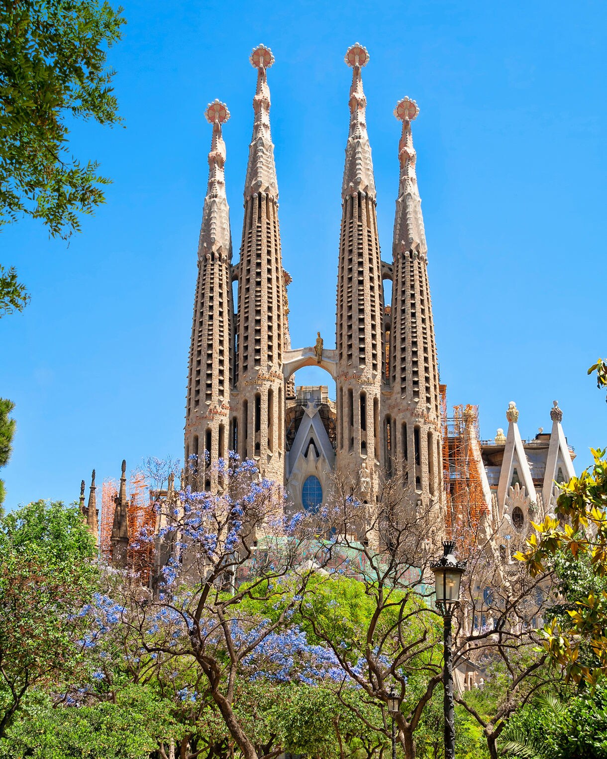 View of La Sagrada Família in Barcelona seen from a park path lined with trees, benches and blooming jacaranda flowers, with the basilica’s iconic spires rising dramatically against a bright blue sky.