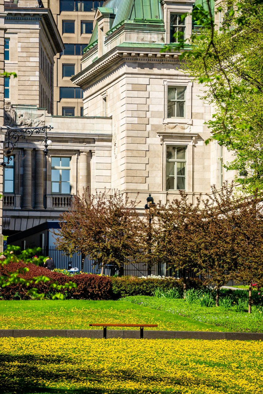 Stone building with a green roof framed by blooming trees and a bright lawn covered in yellow flowers.