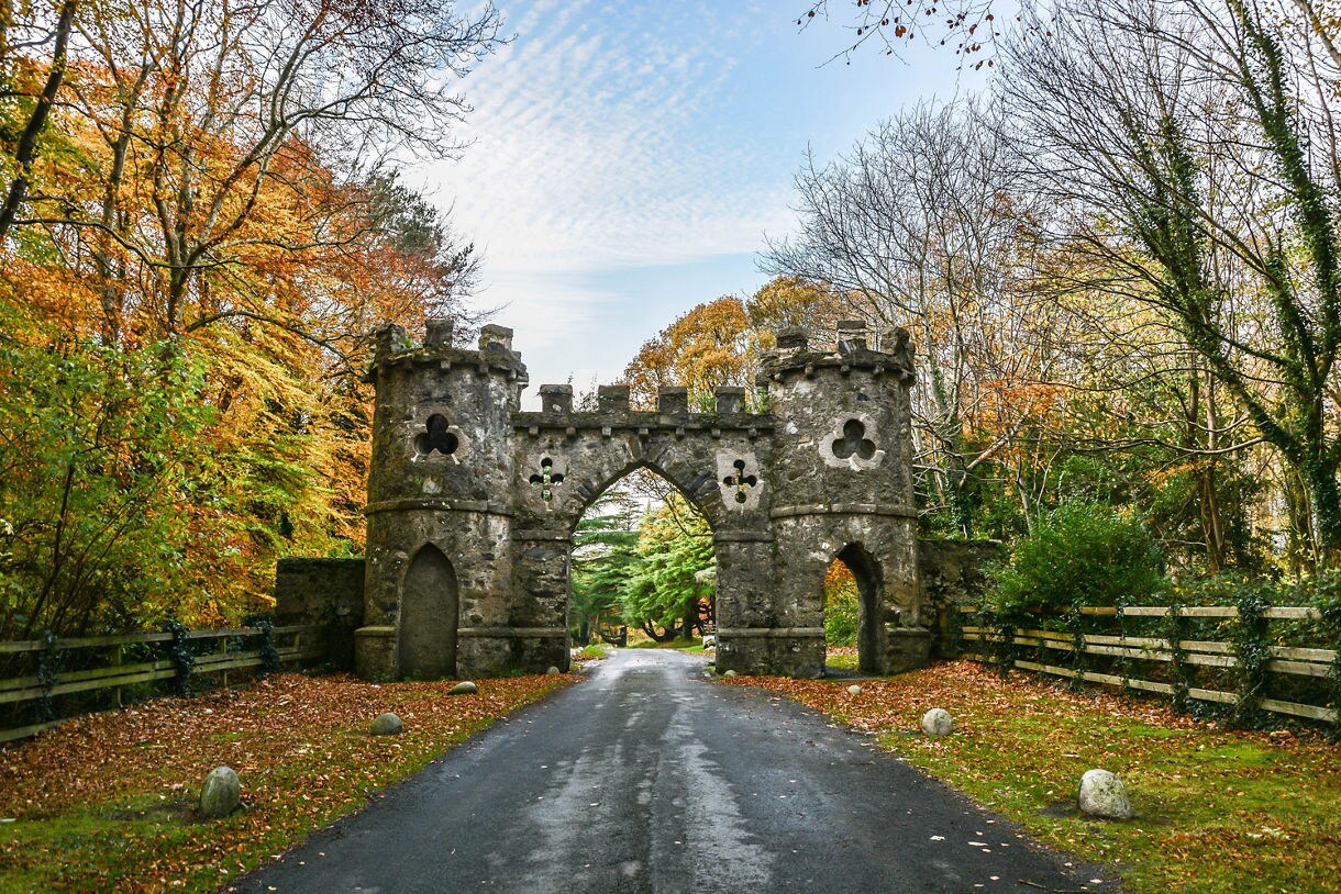 Tollymore Park's autumn charm, Belfast, Northern Ireland.