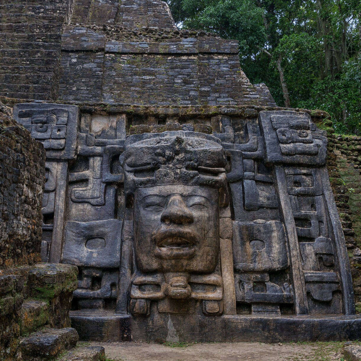 Close-up of a large stone relief depicting a Mayan face, surrounded by jungle foliage at the Lamanai ruins in Belize.