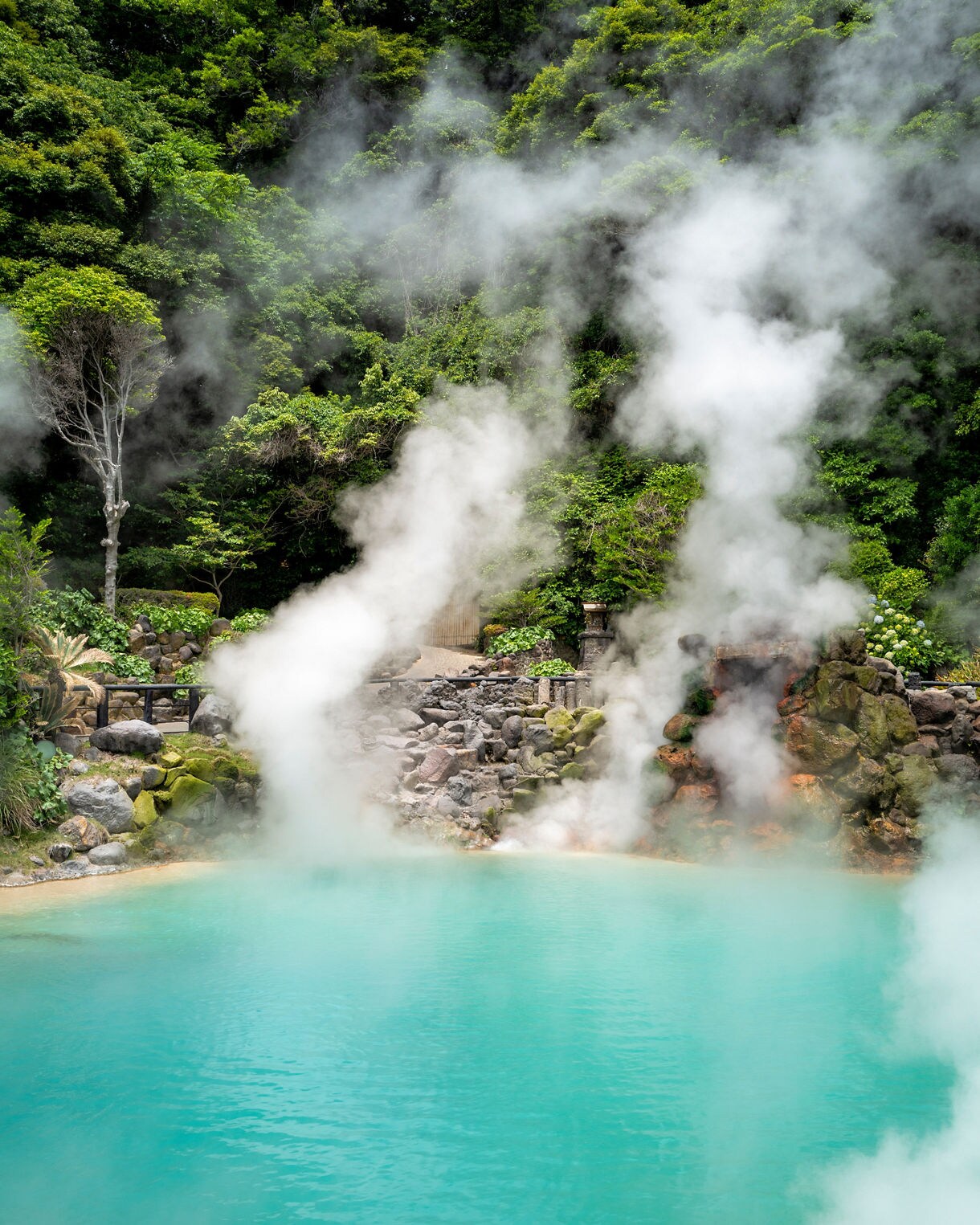 Thick steam rises from a vivid turquoise hot spring surrounded by lush green forest and rocky terrain in Beppu, Japan.