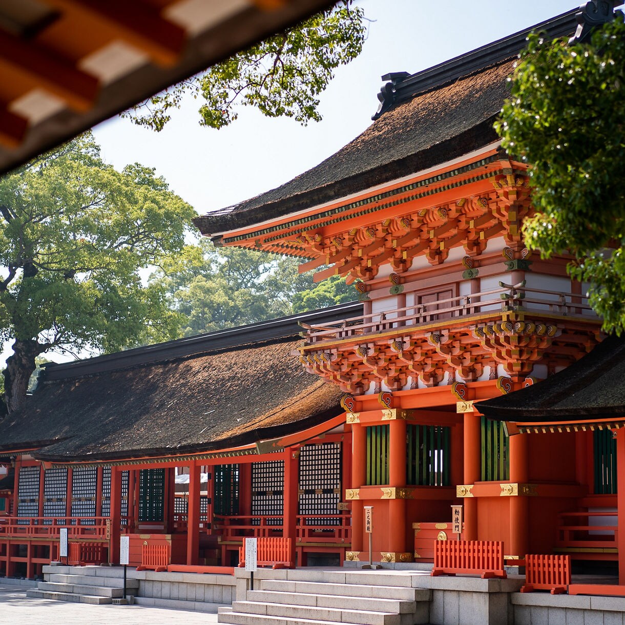 Bright red shrine buildings at Usa Jingu in Japan, with intricate woodwork, sloped thatched roofs and green trees surrounding the complex.