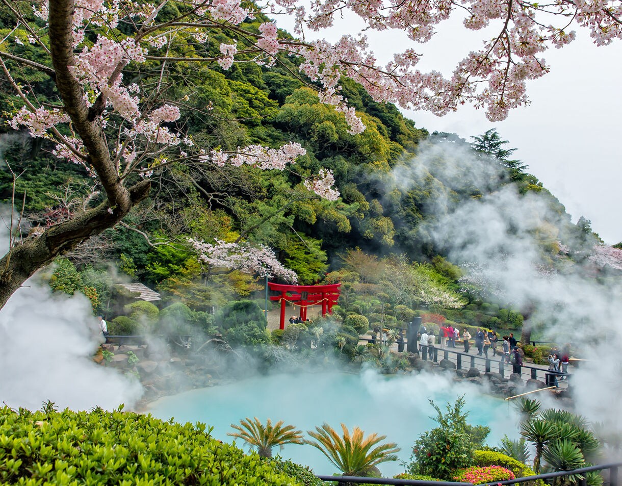 Cherry blossoms frame a steamy hot spring in Beppu, Japan, with a red torii gate, lush greenery and visitors walking along a path.
